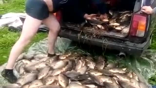 Fish рыбалка удалась