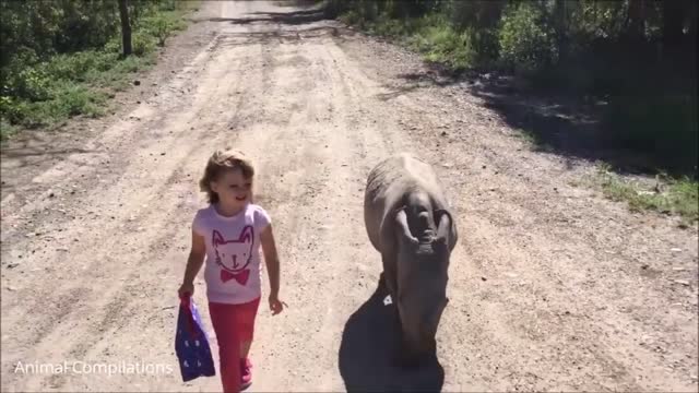 Baby Rhino