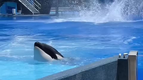 short video