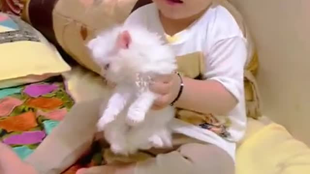 A child playing with kittens