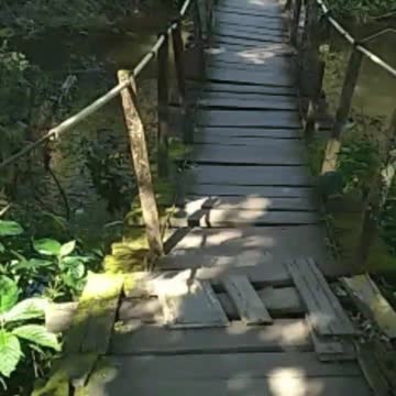 Crossing the walking