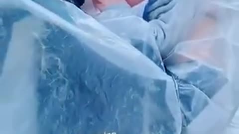 Never forget what people did to appease their masters