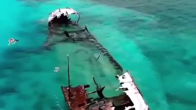 HMAS Protector wreck on Heron Island looks like a freediving paradise