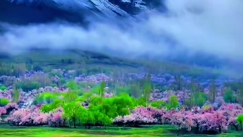 Natural beauty of Pakistan