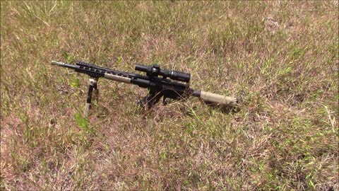 PSA 16" KS-47 & Primary Arms 1-6x ACSS scope - 7.62x39 DMR?
