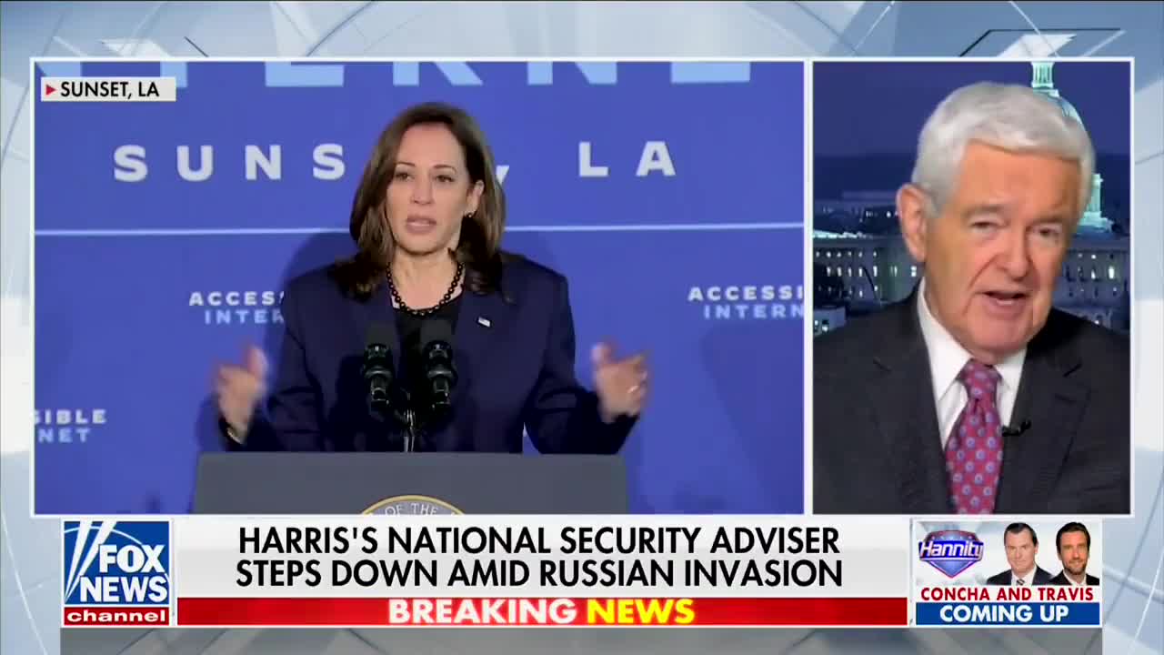 Newt Gingrich On Kamala Harris: ‘May Be The Dumbest Person Ever Elected Vice President’