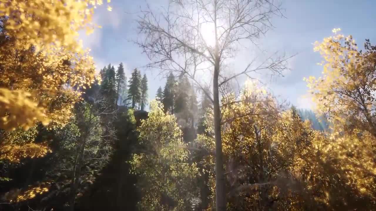 Record the most beautiful moment in nature