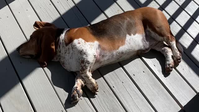 Texas sunshine