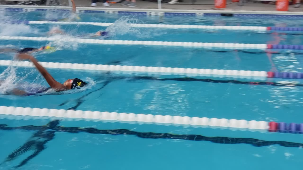 12 June 2024 - 25 back