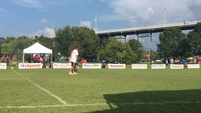 Adam and Khloe at Skyhoundz Worlds 2017