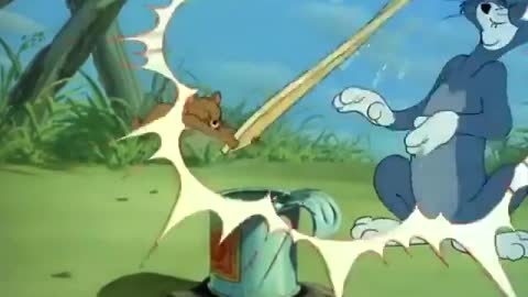 TOM and JERRY FANNY VIDEOS the ring2
