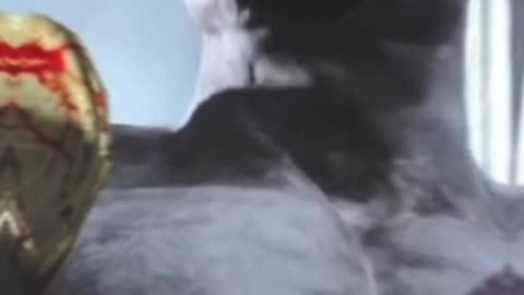 WHY YOU ARE DESTINED TO FAIL