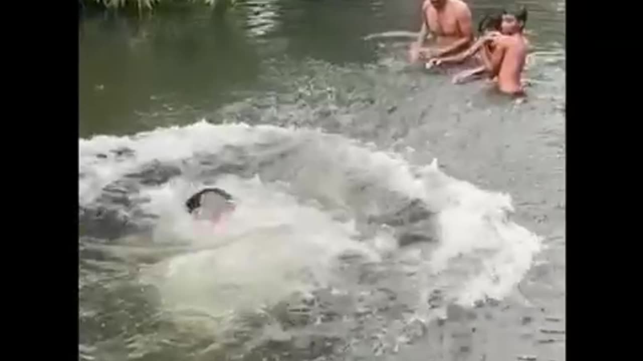 Funny Water Jump