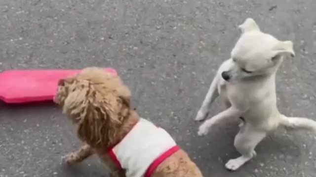 Go away, i'll just drive it
