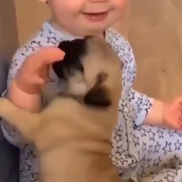 "Toddler Plays with Cute Puppies"#Toddler #Puppies