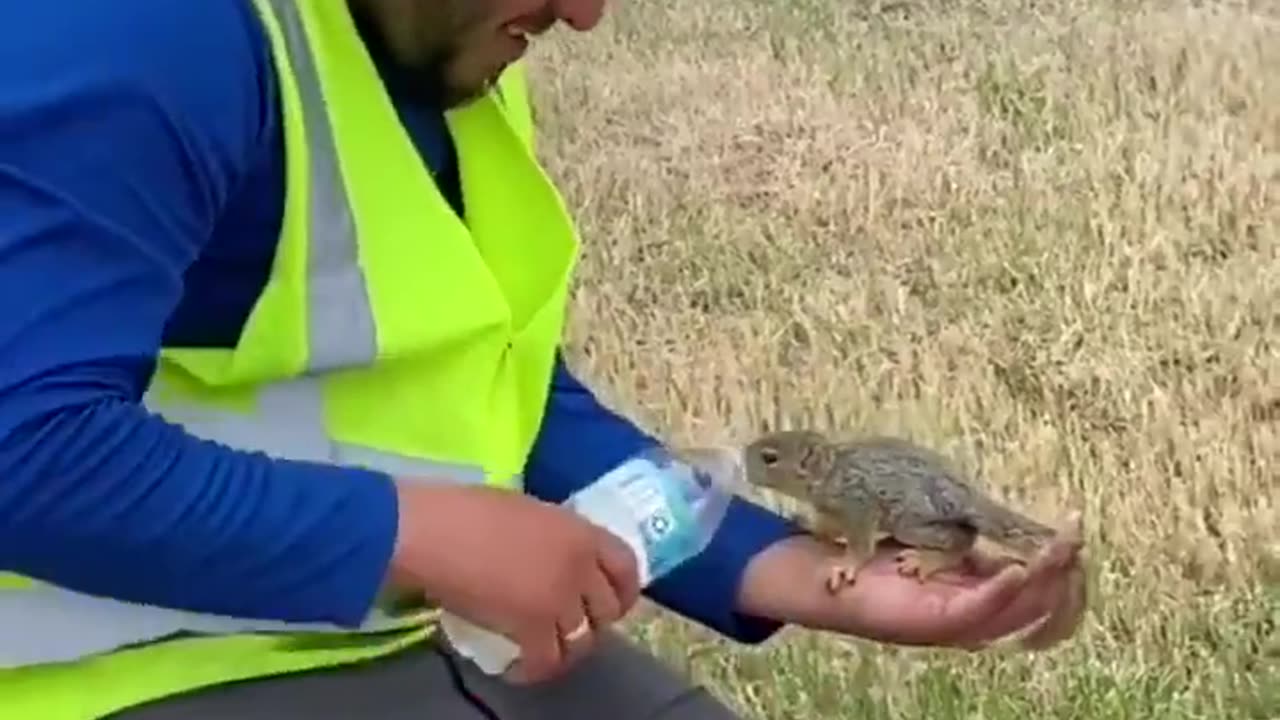 Gives water to the squirrel