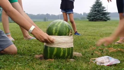 Watermelon+400 rubber bands asdr alaa