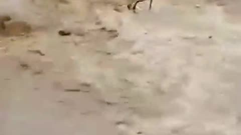 Riding motorcycle through flood water not to plan