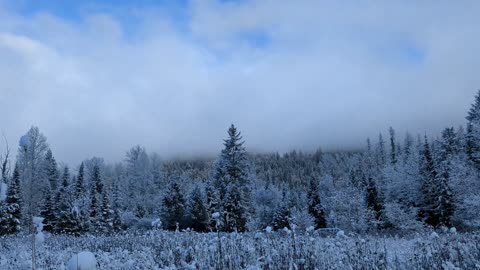 FIRST SNOWFALL!