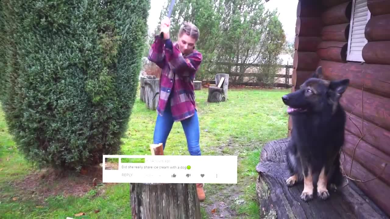 What Is Like Waking Up With German Shepherd Is Like