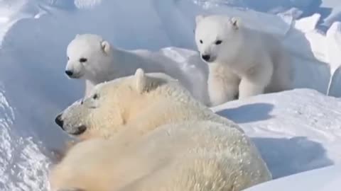 Mother and son three lying in the snow playing is very comfortable