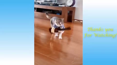 Funny Animal Videos - Impossible not to laugh - Funny Videos.