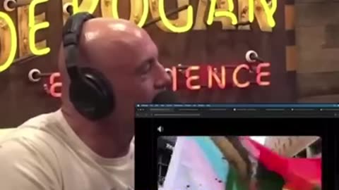 Joe Rogan Can’t Stop Laughing at LGBT vs. Pro-Palestine Standoff at Pride Parade