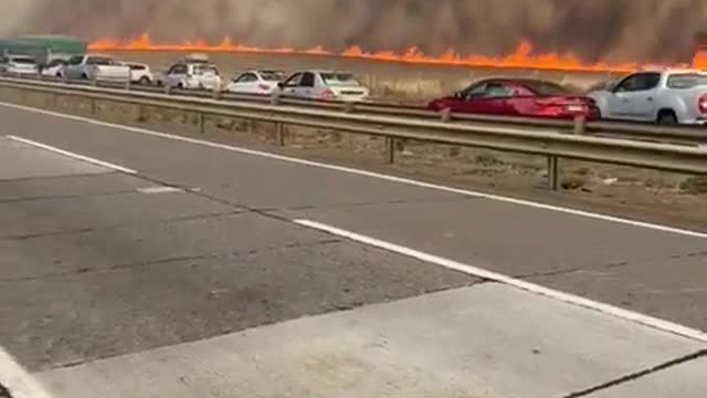 Forest fires areas of Collipulli Chile