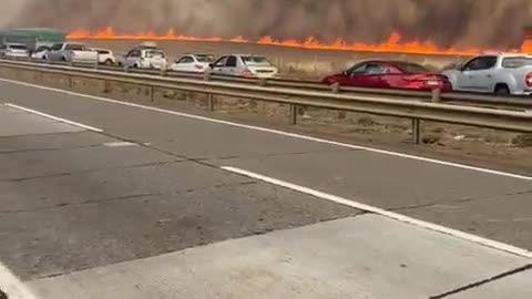 Forest fires areas of Collipulli Chile