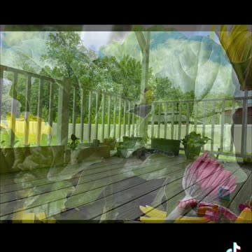 Nature’s photography