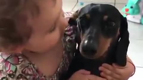 Love animals always