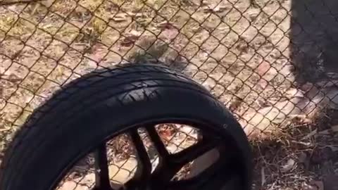 Man Who Had Wheels Stolen Finds Them Close By