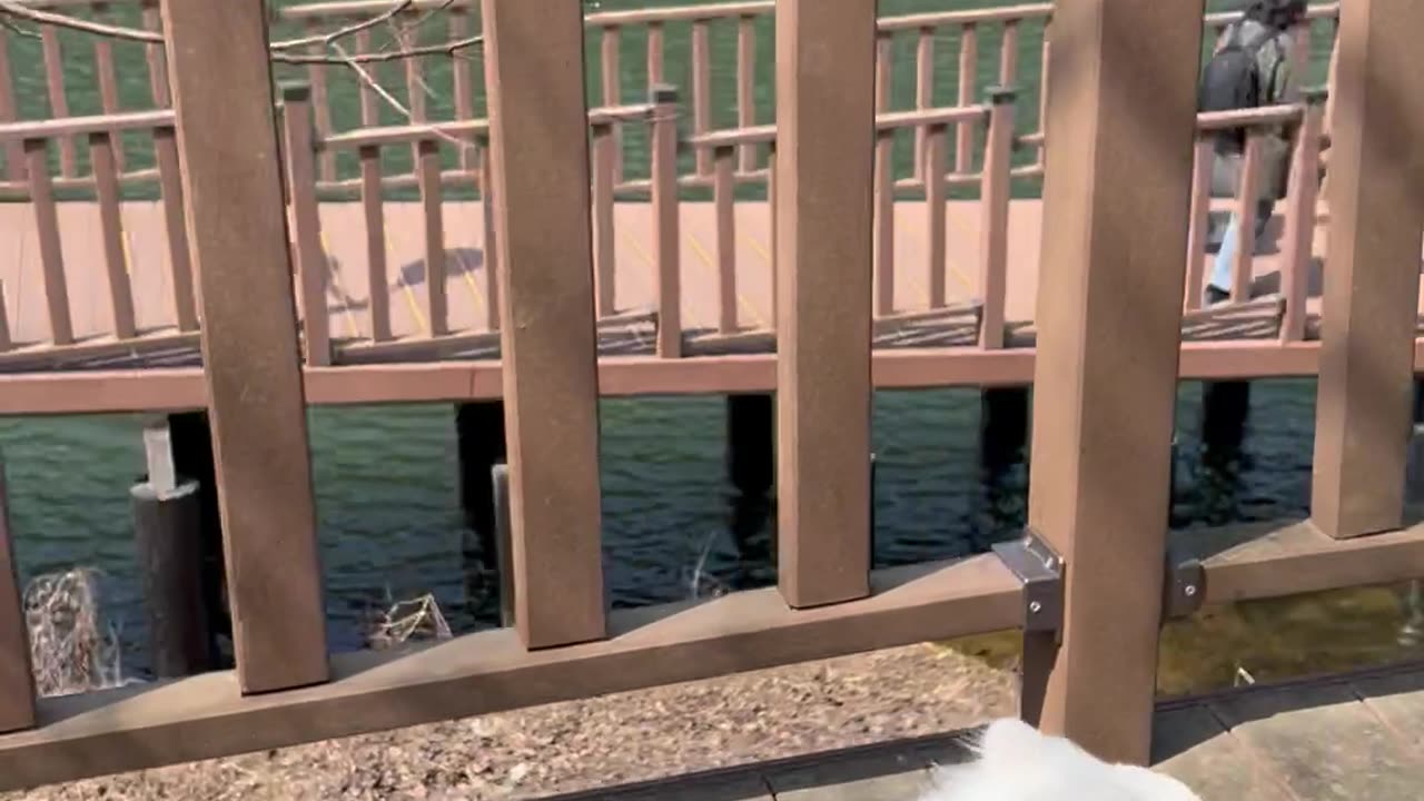 The lake view is fun