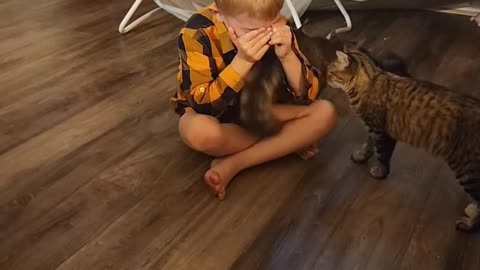 Cat Comforts Crying Kid