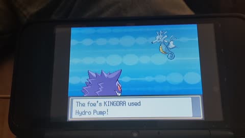 Pokemon HeartGold:Blackthorn Gym Battle