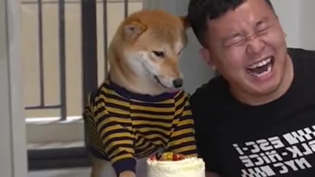 Funny dog 😂