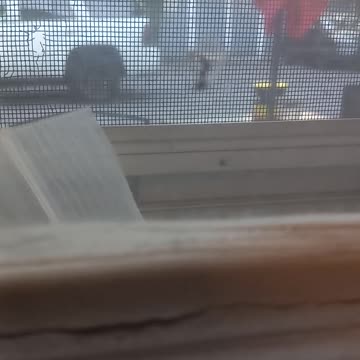 What mosquito bites and doesn't take any blood