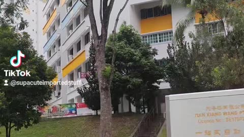 Coconut Trees in a Singapore Town