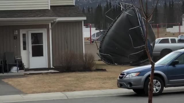 Trampoline on the Loose