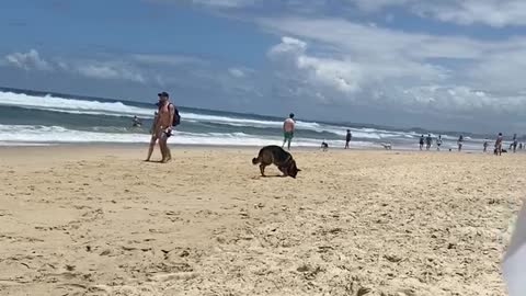 Beach day!!!
