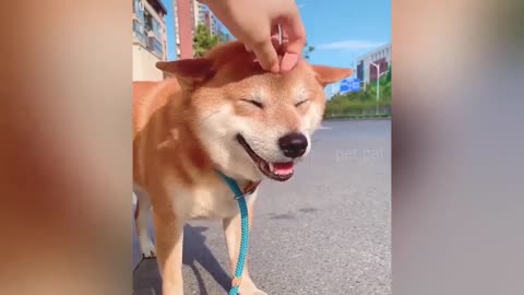 Best Of The
