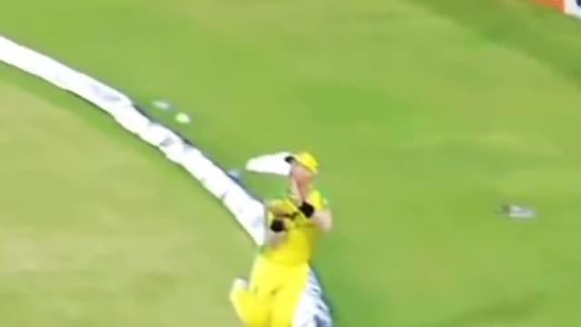 Top, cricket videos, best cricket fielding