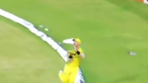 Top, cricket videos, best cricket fielding