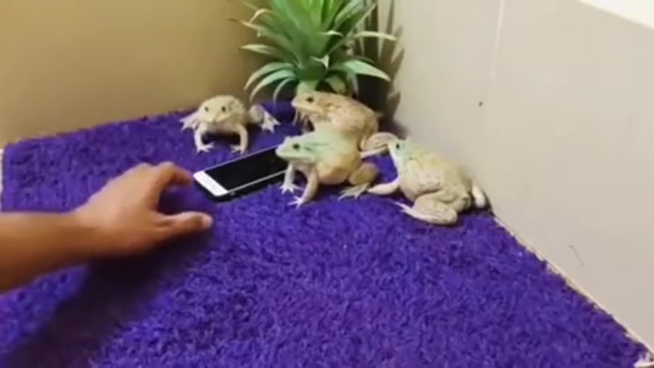 Holy Crap Maybe We Should Keep Em Gay😳