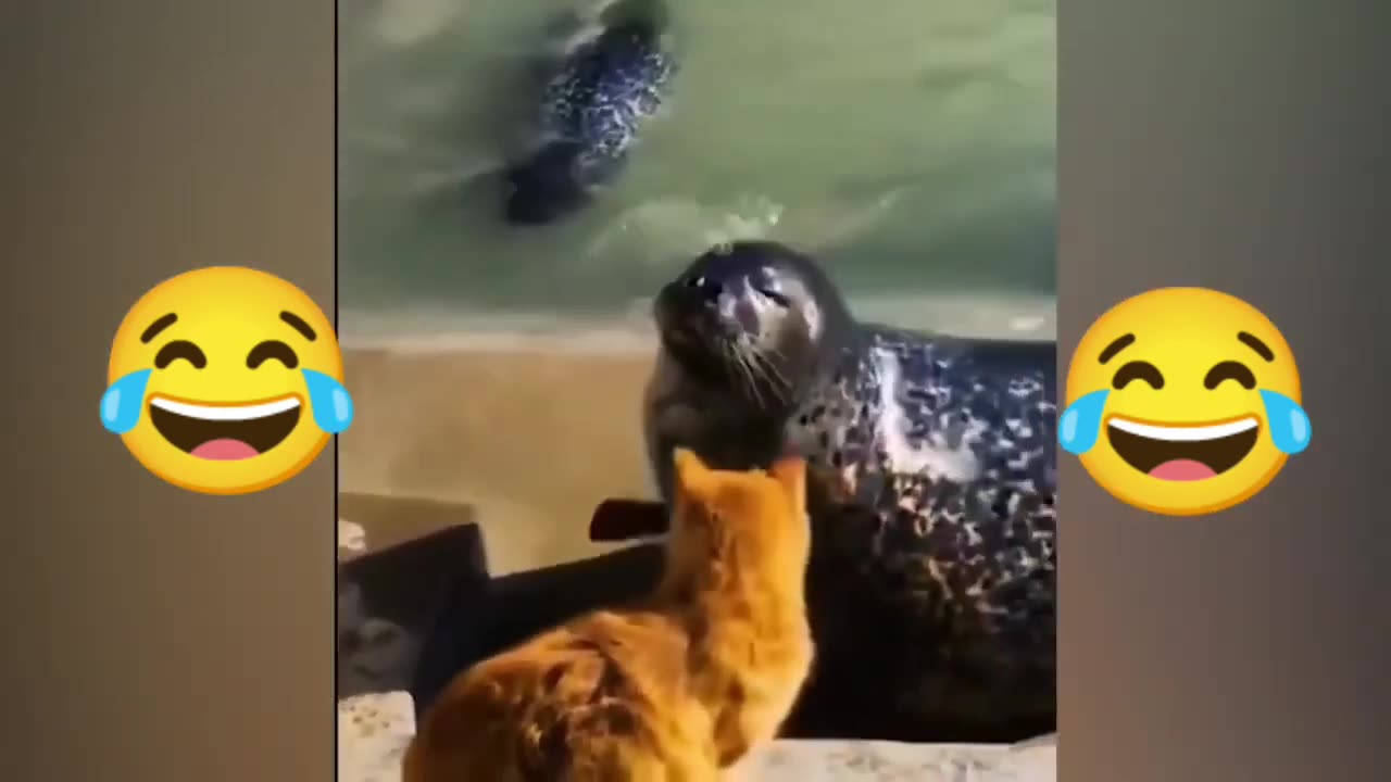 2 minutes of best Funny animals 2024