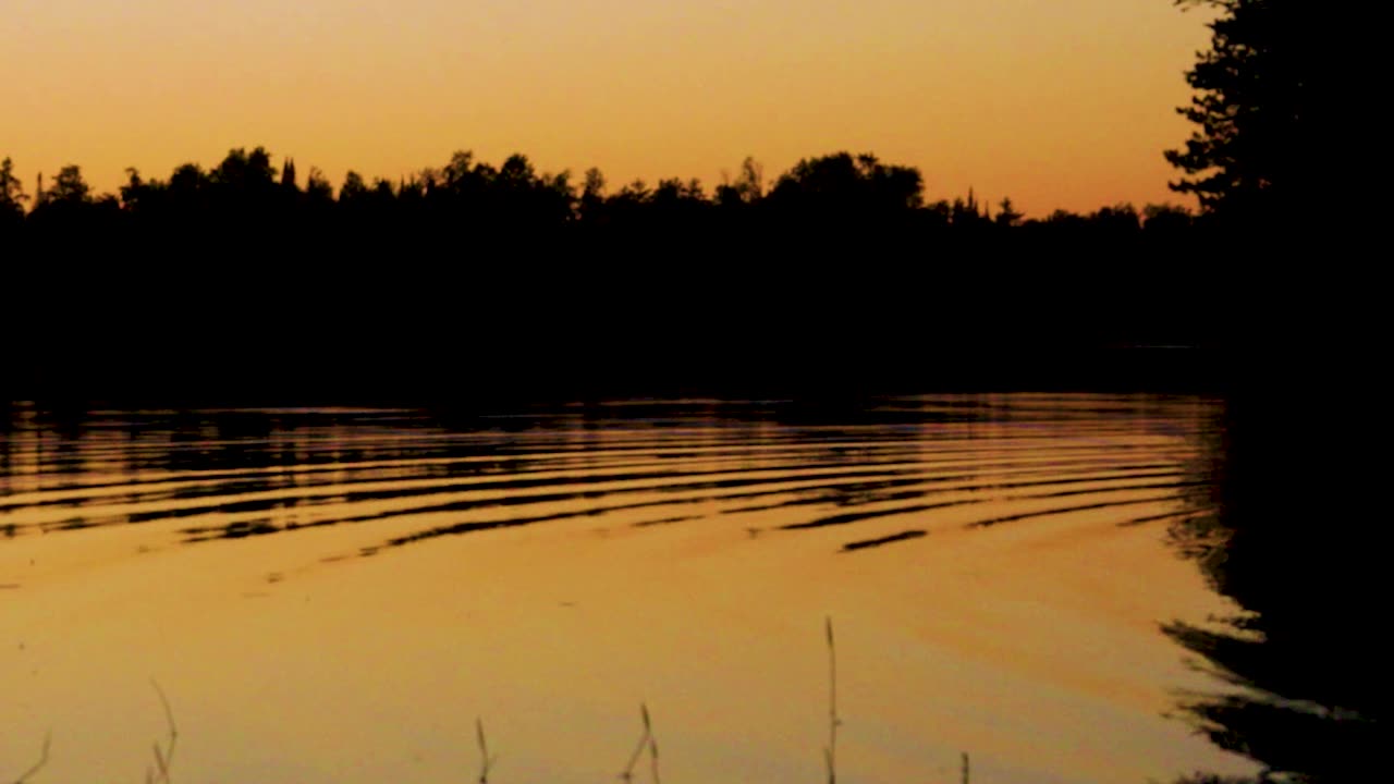 Peaceful Lake Loons at sunset ASMR