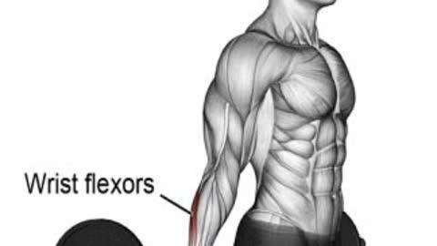 Forearms workout
