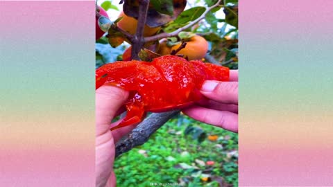 Oddly Satisfying Fruits Video Compilation