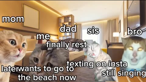 Me and my fam going to the beach