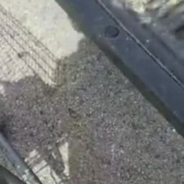 ROTFL. This guy teaches social distancing in a new way!